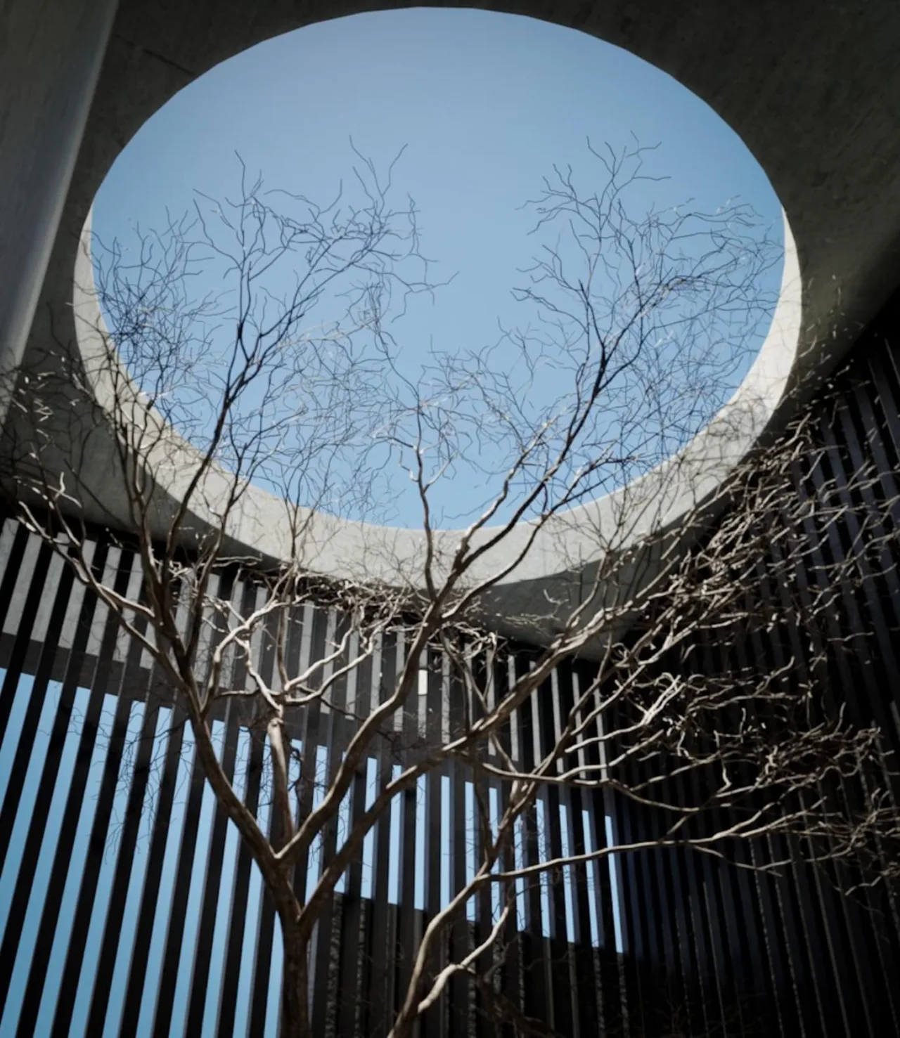 Residencia entre árboles — vista 3